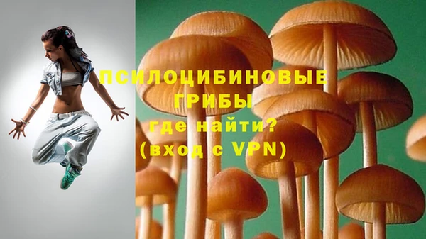 ПСИЛОЦИБИНОВЫЕ ГРИБЫ Сосновый Бор