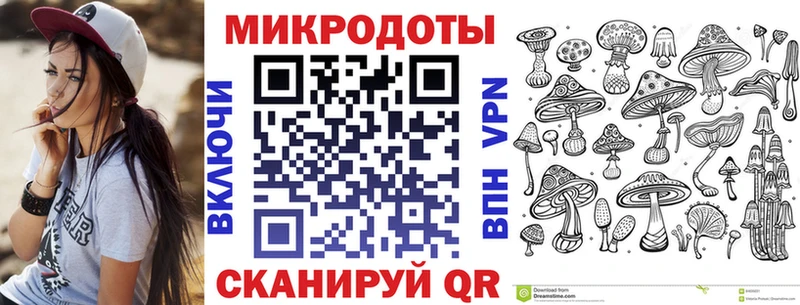 omg вход  Мостовской  Псилоцибиновые грибы мицелий 